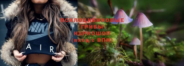 шишки Богданович