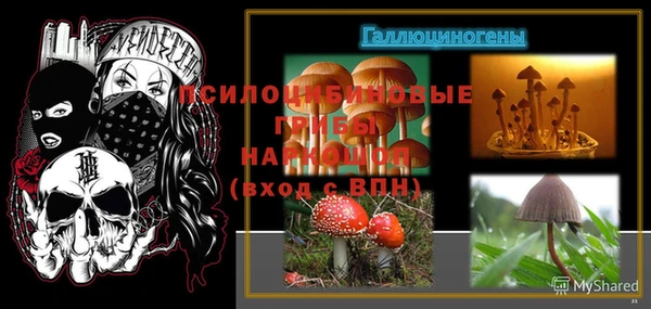 шишки Богданович