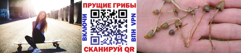 Галлюциногенные грибы ЛСД  Усть-Илимск 